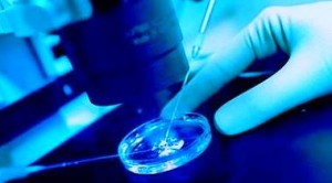 medicina rigenerativa