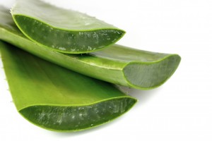 aloe vera contro caduta dei capelli